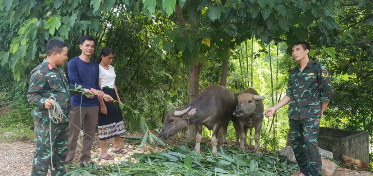 Hỗ trợ nhân dân phát triển kinh tế, xoá đói giảm nghèo
