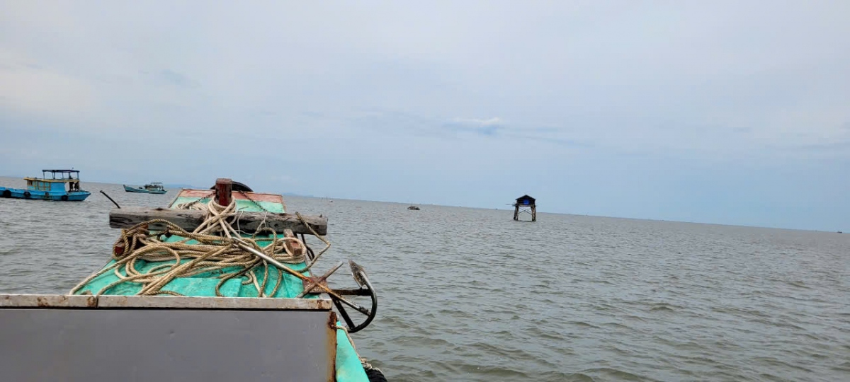 Huyện Gò Công Đông có sai phạm trong việc quản lý, cho thuê đất bãi bồi, đất ven biển