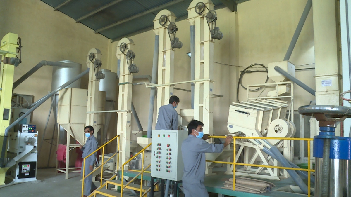 Nhà máy chế biến xay xát gạo Hợp tác xã Nông nghiệp Phước Hưng, huyện Tuy Phước, tỉnh Bình Định.