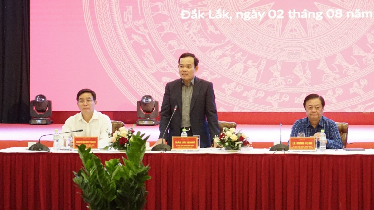 Phó Thủ tướng Chính phủ Trần Lưu Quang phát biểu tại cuộc làm việc