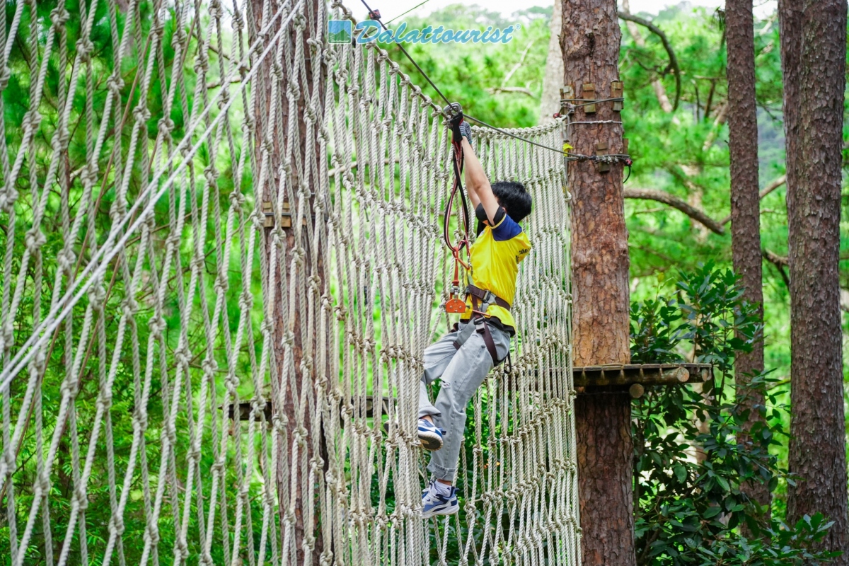Nguồn: Công ty Cổ phần Du Lịch Lâm Đồng - Dalattourist