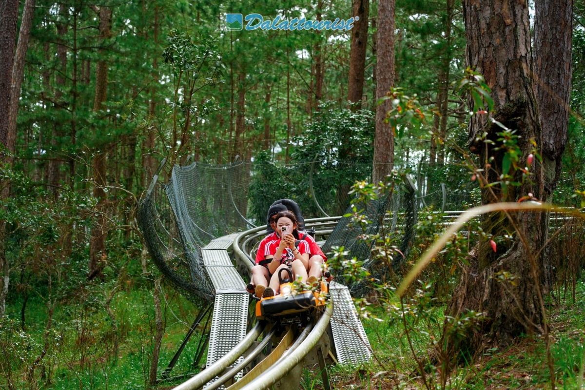 Nguồn: Công ty Cổ phần Du Lịch Lâm Đồng - Dalattourist