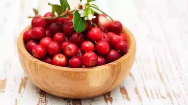 Quả nam việt quất: Quả nam việt quất có khả năng ngăn ngừa nhiễm trùng đường tiết niệu, nhưng chúng cũng có đặc tính chống ung thư mạnh mẽ. Chúng rất giàu proanthocyanidin, một loại polyphenol đã được chứng minh là có tác dụng ức chế sự phát triển của tế bào ung thư và ngăn chúng lây lan. Một nghiên cứu cho thấy chiết xuất nam việt quất có thể ức chế sự phát triển của tế bào ung thư vú trong ống nghiệm. Quả nam việt quất cũng chứa quercetin và các chất chống oxy hóa khác góp phần vào tác dụng chống ung thư.