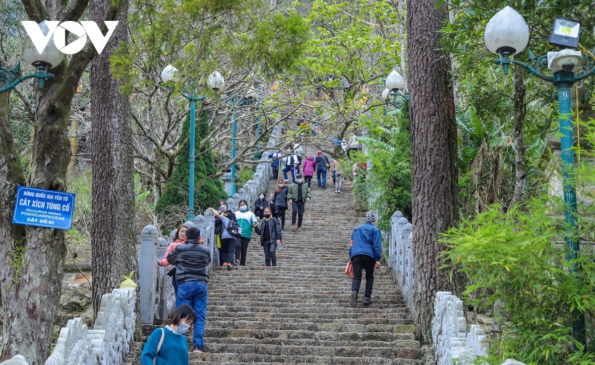 In addition, Yen Tu Mountain is also home to a large number of rare fauna and flora species which cannot be found anywhere else in Vietnam.