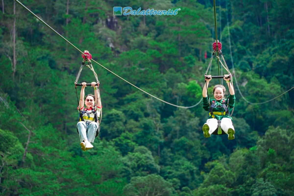 Nguồn: Công ty Cổ phần Du Lịch Lâm Đồng - Dalattourist