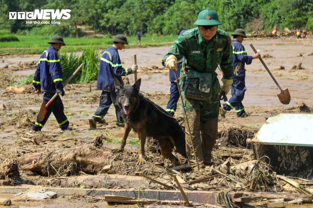 Five sniffer dogs have been deployed for the search and rescue operations.