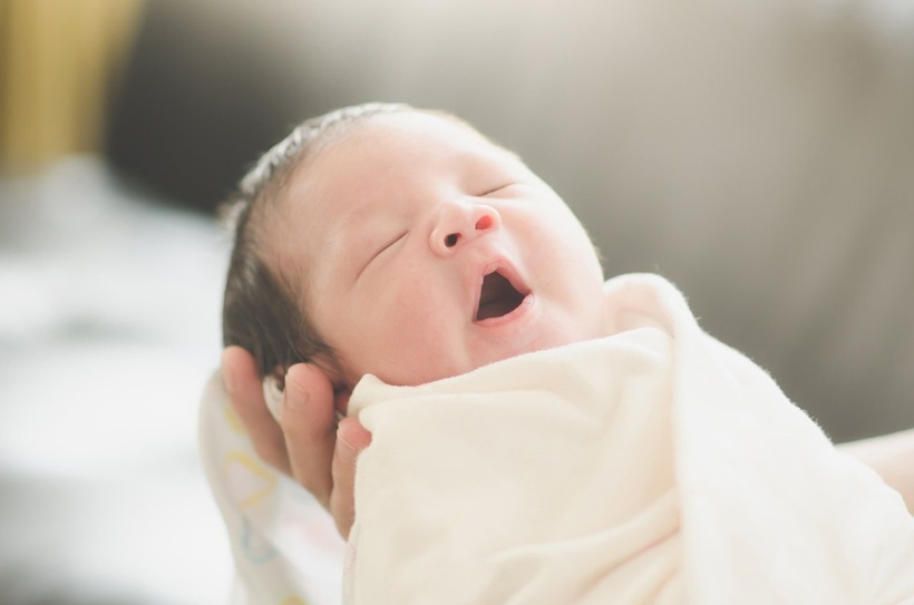 N​​​​​hiều người thu nhập cao vẫn không thích cưới, sinh con mà chuyển sang nuôi thú cưng, thậm chí chọn xu hướng mẹ đơn thân