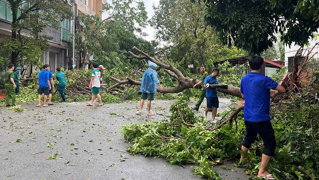 Các tình nguyện viên trong Tổ phản ứng nhanh của Đoàn Thanh niên tỉnh Bắc Ninh hỗ trợ người dân dọn dẹp cây cối bị bão quật đổ tại nhiều tuyến đường, phố