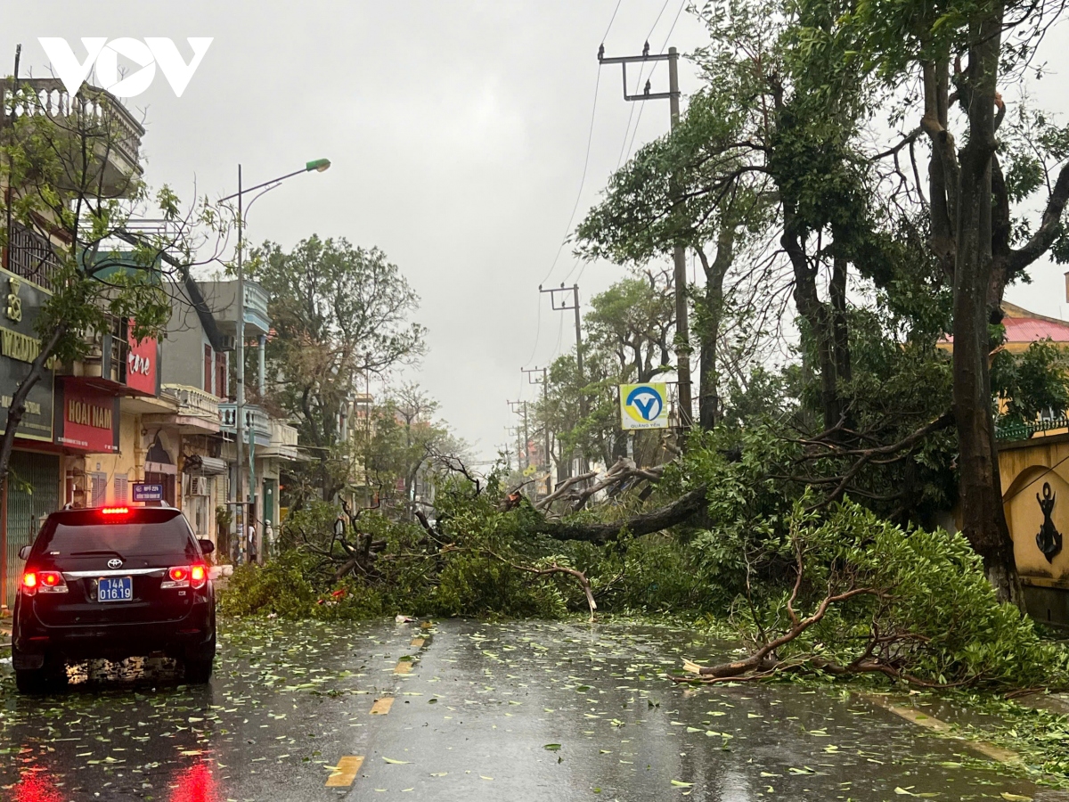 A fallen tree disrupts traffic flows on major arteries in Quang Ninh.