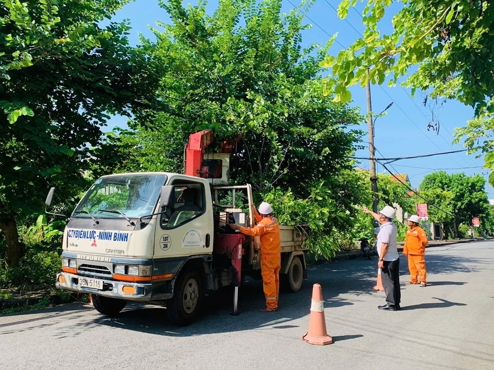 Cắt tỉa cây xanh.
