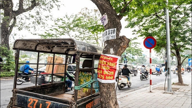 Biển quảng cáo người dân đóng trên cây xanh đô thị (Ảnh: Internet)