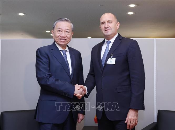 Tổng Bí thư, Chủ tịch nước Tô Lâm gặp Tổng thống Bulgaria Rumen Radev (Ảnh: TTX)