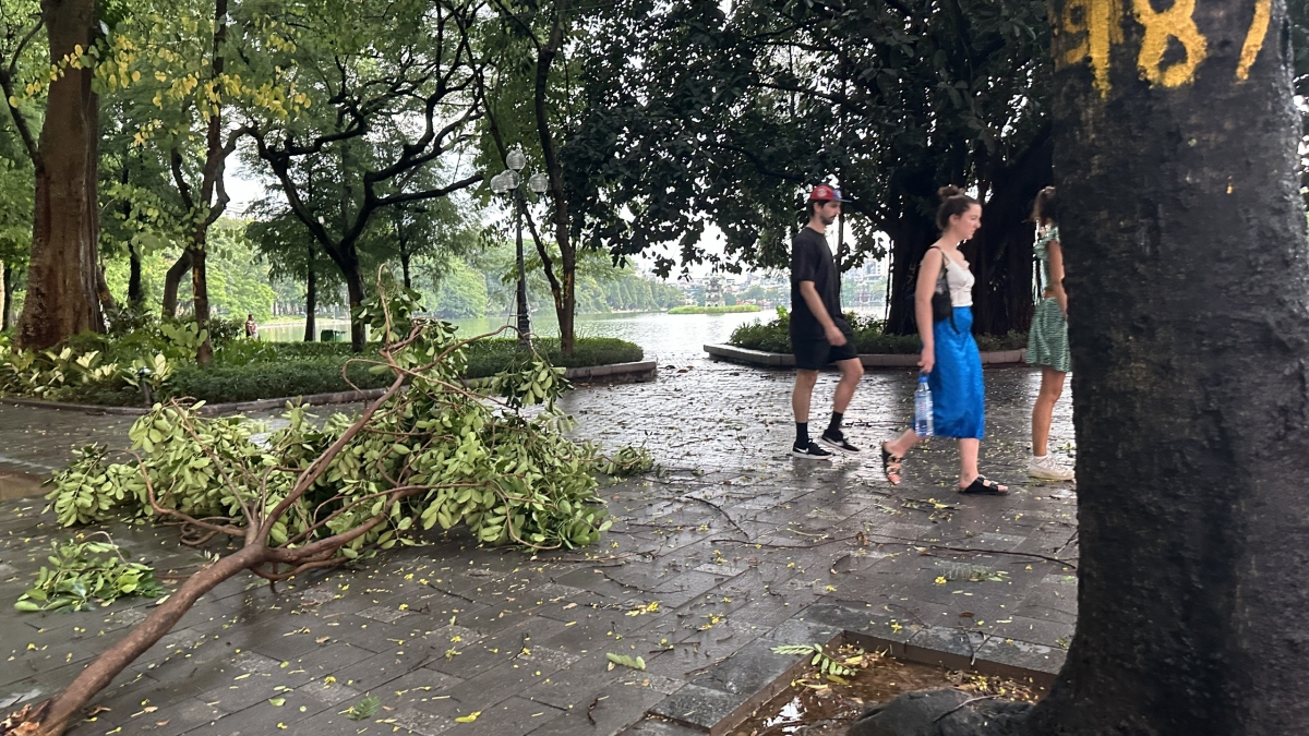 Một cành xà cừ gãy rơi xuống hè phố phố Hàng Khay.