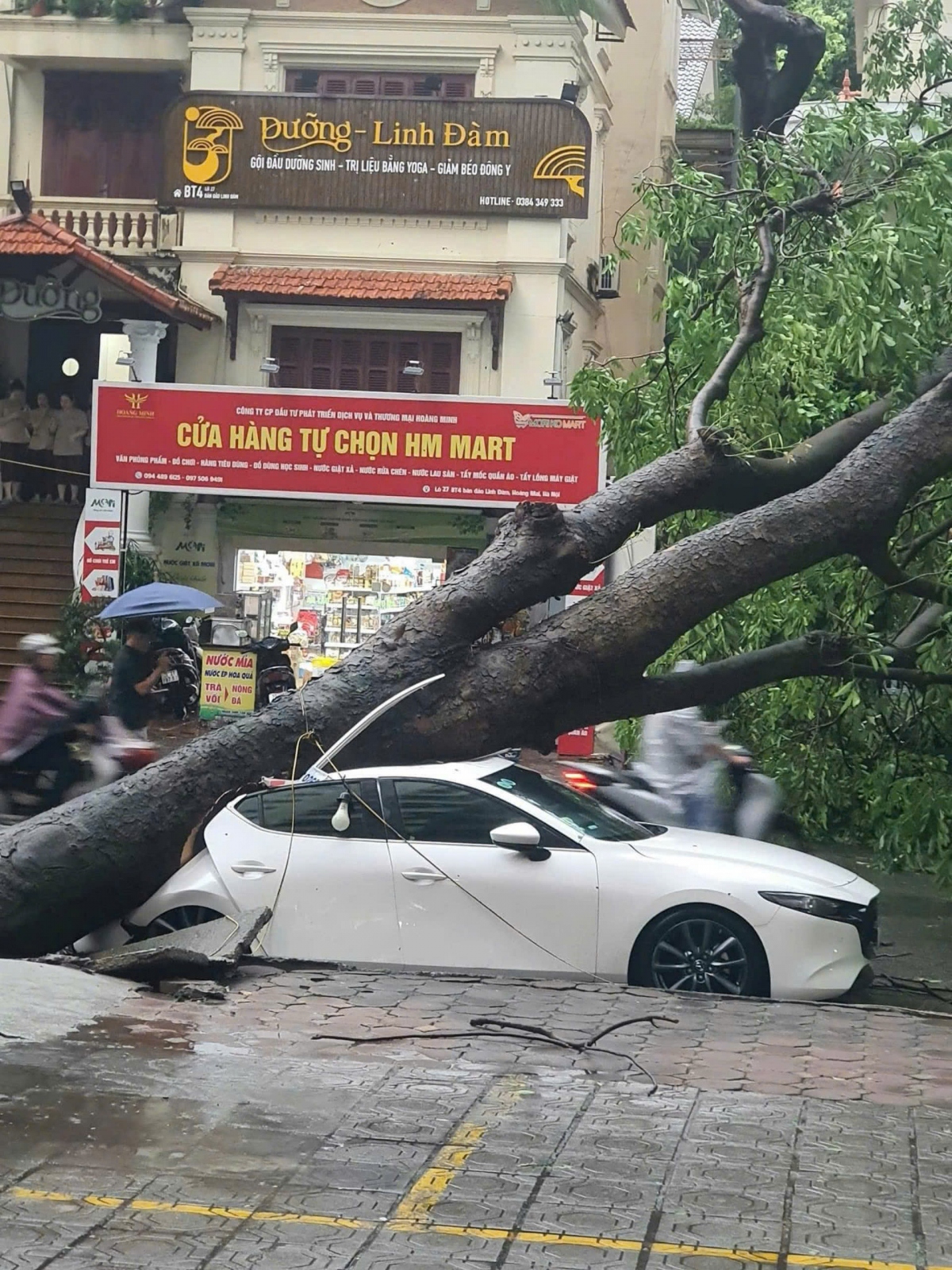 Tại bán đảo Bắc Linh Đàm (quận Hoàng Mai) một cây xà cừ bật gốc đè bẹp phần sau một xe ô tô 5 chỗ. (Ảnh: Nguyễn Xuân Hiệu).