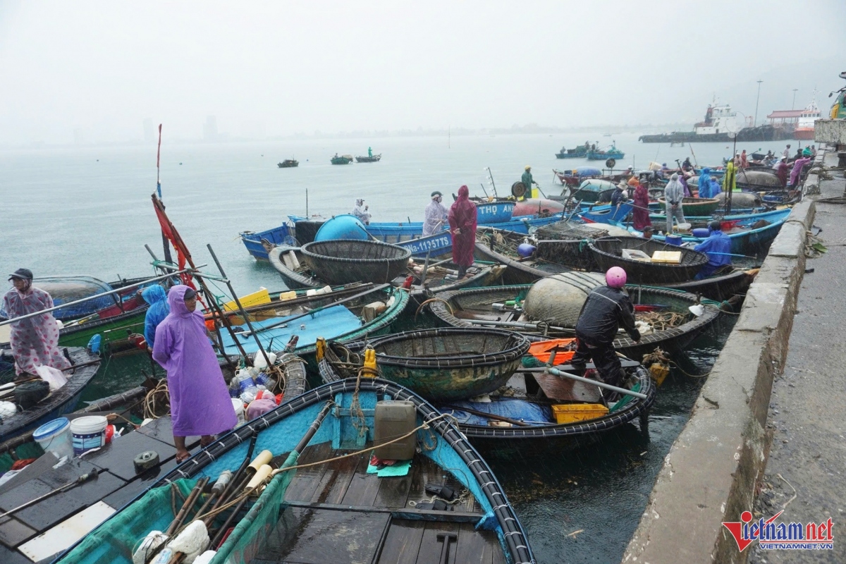 Local authorities in Da Nang are ordered to immediately implement safety measures for vessels and maritime activities, whilst keeping boats in the harbour and advising those still at sea to find safe shelter.