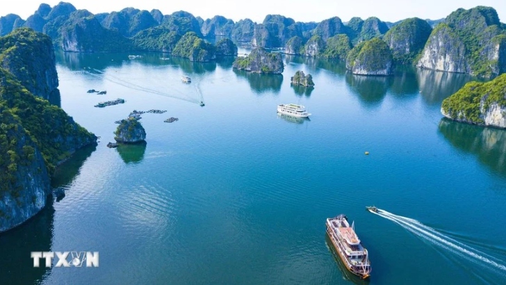 Cat Ba has been included in the bucket list of many nature-lovers who wish to explore its variety of natural ecosystems.