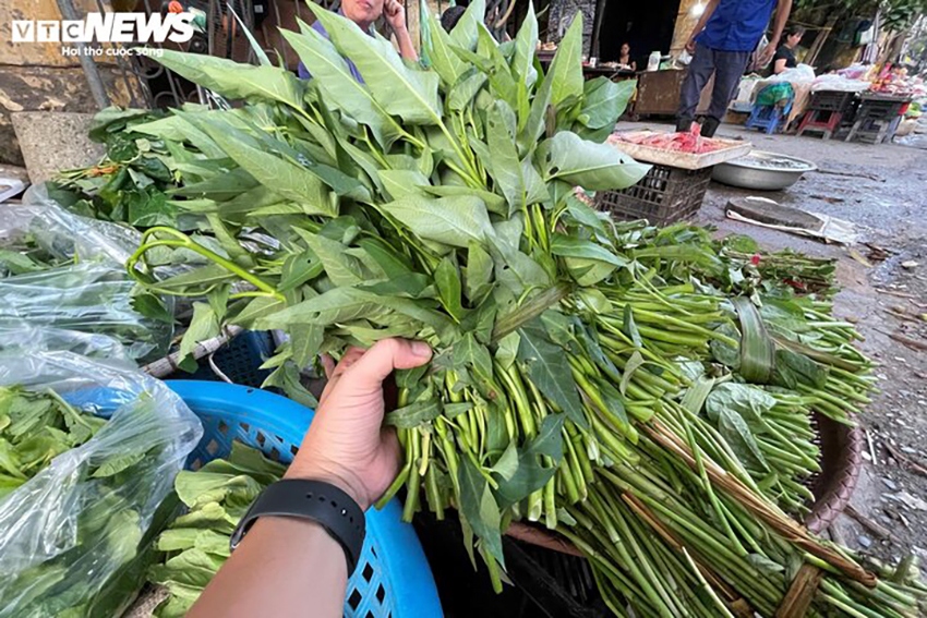 Bó rau muống có giá 20.000 đồng