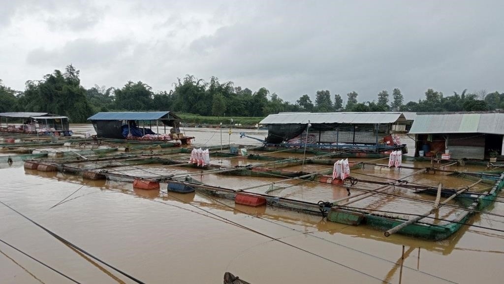 Mực nước sông La Ngà lên khá cao, cần đề phòng lũ (Ảnh: CTV)