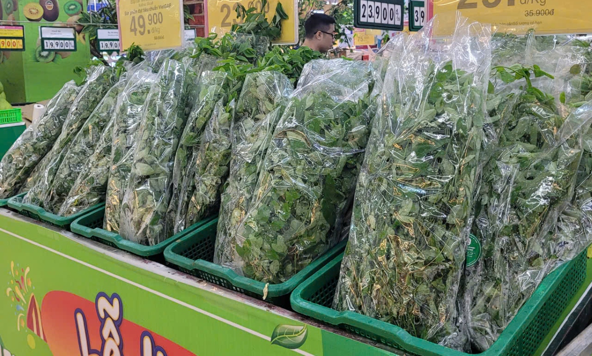 Rau xanh được Saigon Co.op vận chuyển liên tục ra cung cấp cho các siêu ở tỉnh, thành phía Bắc
(Ảnh: Saigon Co.op cung cấp)