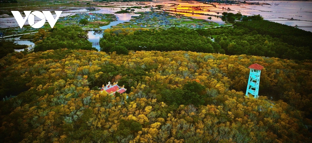 The watchtower located in the middle of the forest helps local rangers to spot forest fires, whilst it's also a great perch from which to take photos of the forest.