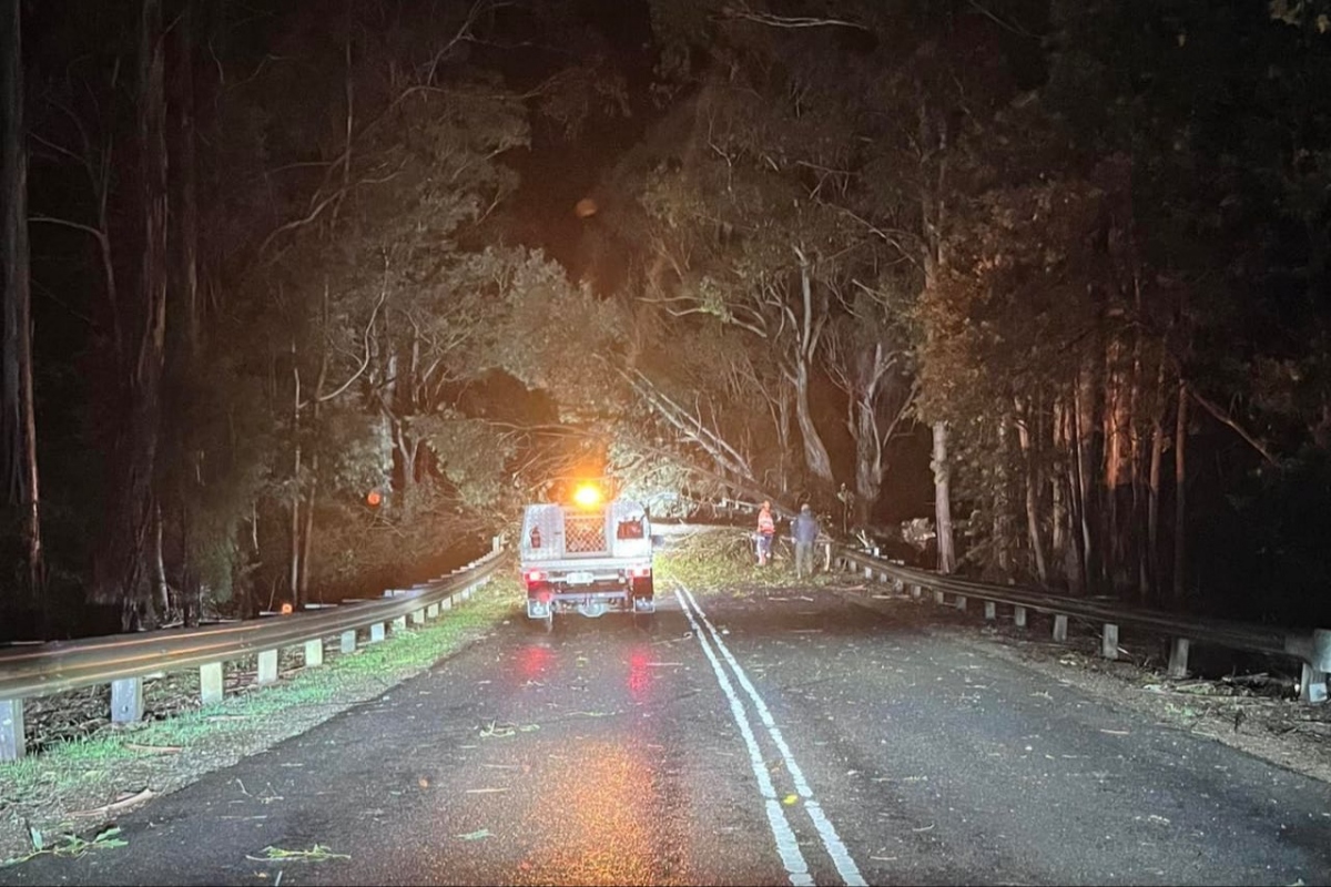 Khoảng 30.000 khách hàng ở Tasmania bị mất điện từ tối 31/8. Ảnh: PulseTasmania