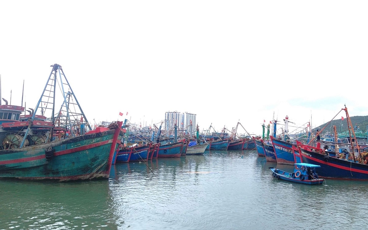 Ảnh minh họa: KT