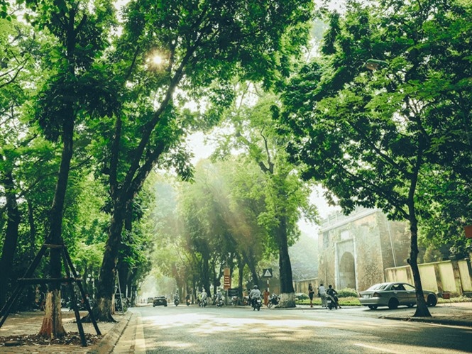 Bắc Bộ có mưa vài nơi, trưa chiều trời nắng