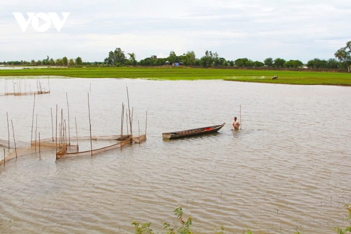 Every year during the flood season, the Mekong Delta transforms into a captivating beauty that enchants everyone who visits the region.