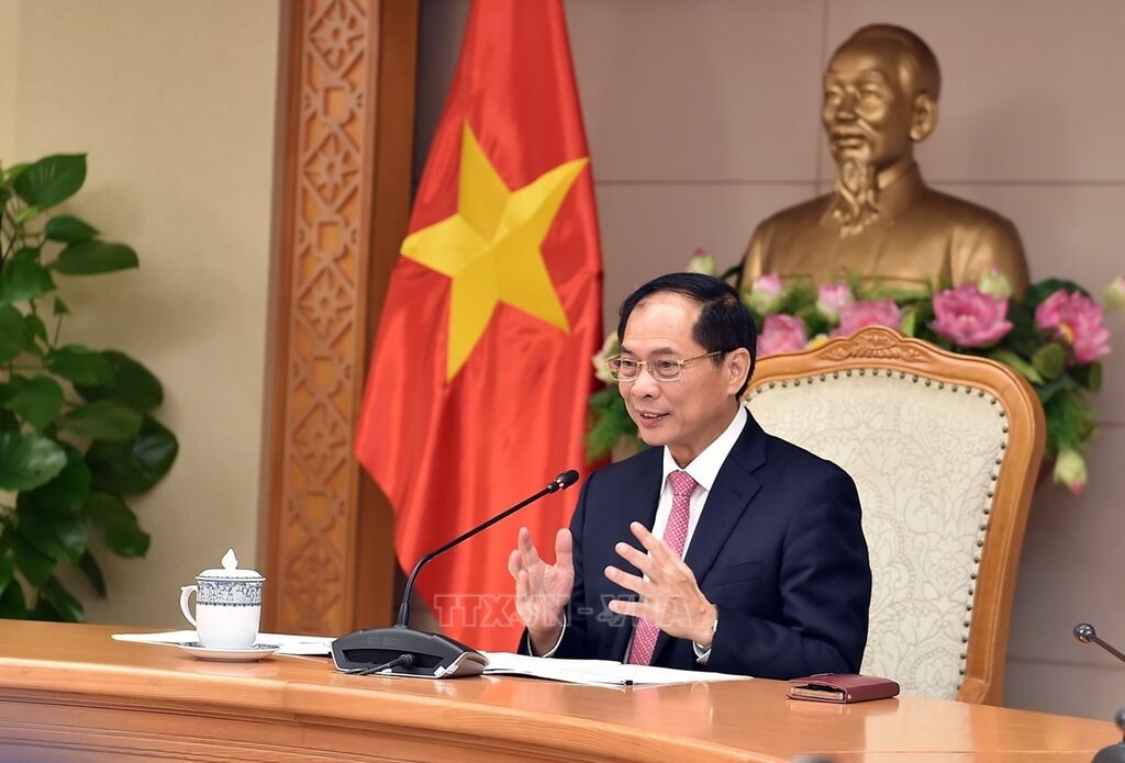 Phó Thủ tướng, Bộ trưởng Bộ Ngoại giao Bùi Thanh Sơn. Ảnh: TTXVN