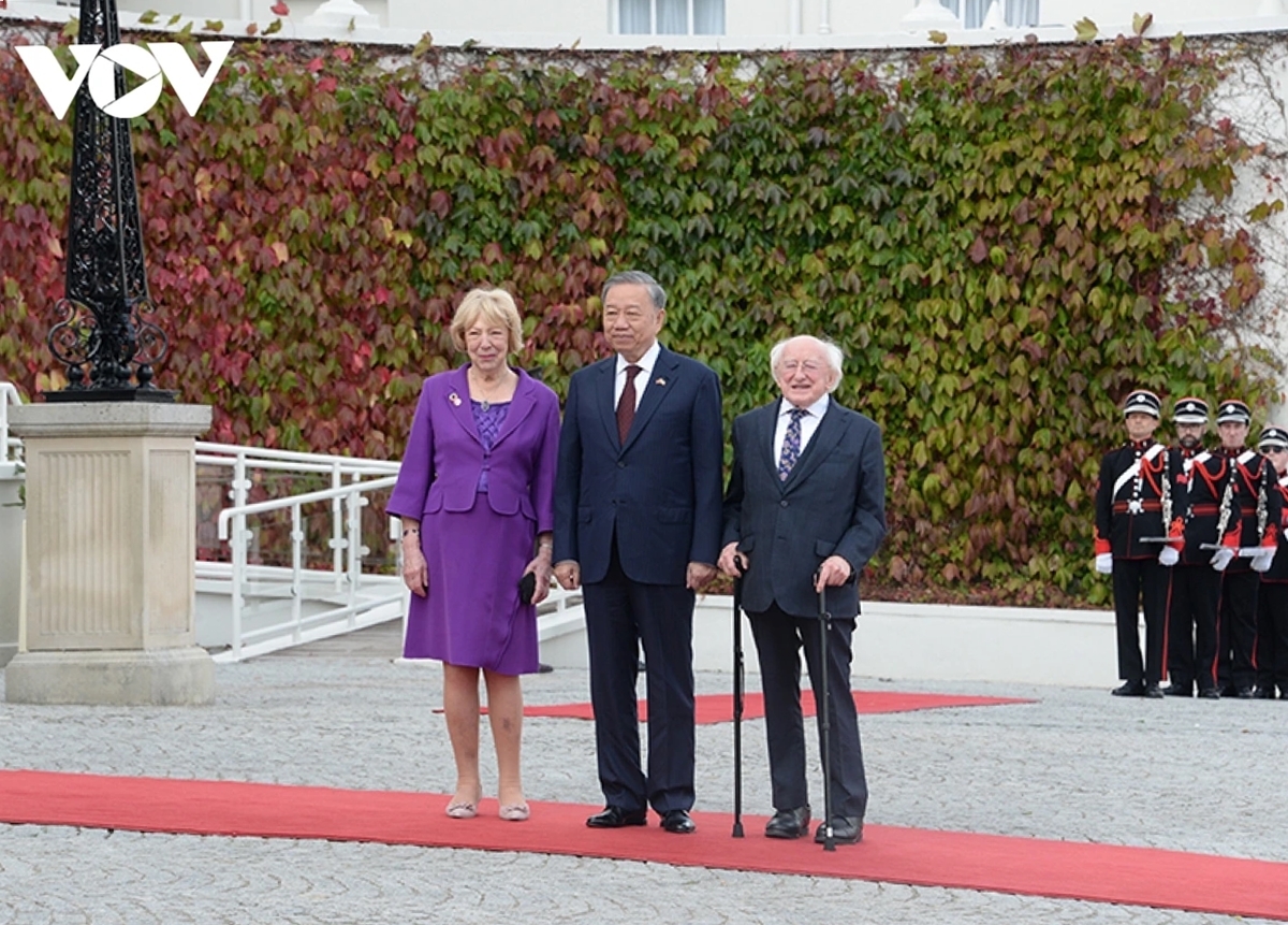 Ngay sau Lễ đón, Tổng Bí thư, Chủ tịch nước có cuộc gặp riêng và cùng Tổng thống Michael D. Higgins và đoàn đại biểu cấp cao hai nước tiến hành hội đàm chính thức; trồng cây lưu niệm tại Phủ Tổng thống.