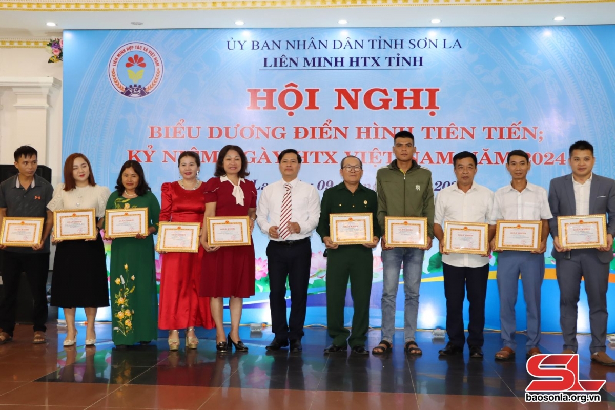Liên minh HTX tỉnh tặng giấy khen cho các HTX  có thành tích xuất sắc trong xây dựng và phát triển kinh tế tập thể, HTX (Ảnh: Nguyễn Thư)