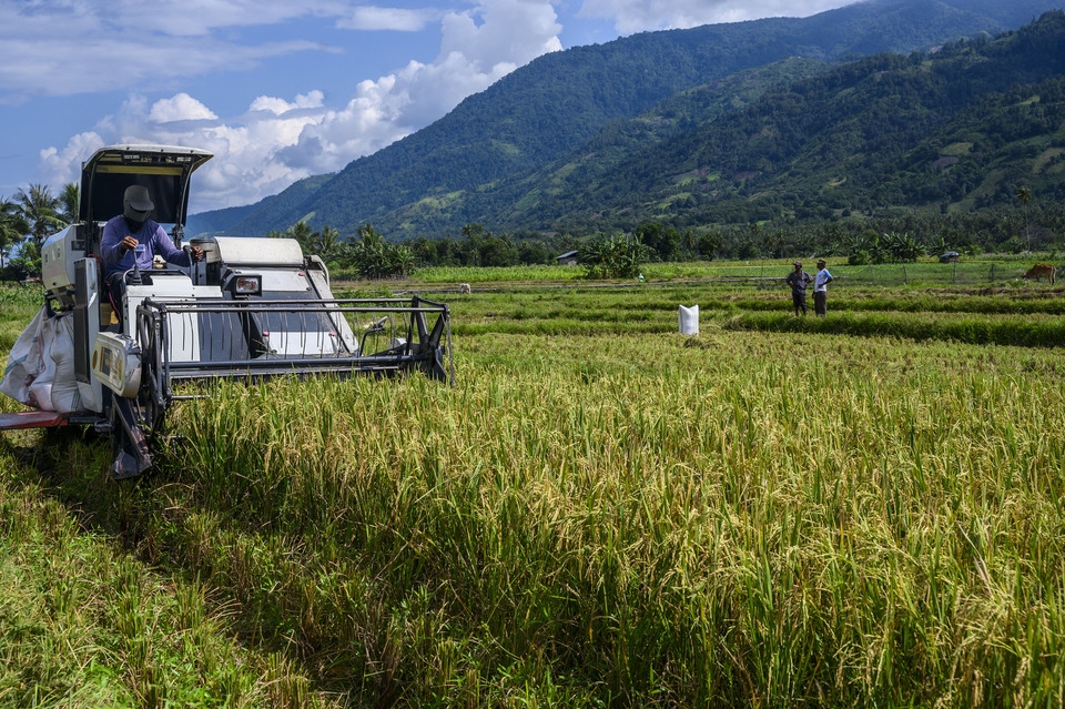 Với việc hiện đại hóa nông nghiệp, Indonesia kỳ vọng tăng thu nhập cho người nông dân (Ảnh: Antara News)