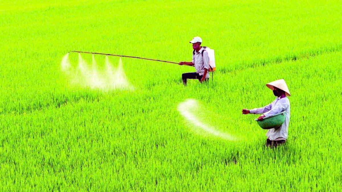 Việc áp dụng thuế GTGT 5% là người dân hưởng lợi chứ không phải giá phân sẽ tăng lên 5%