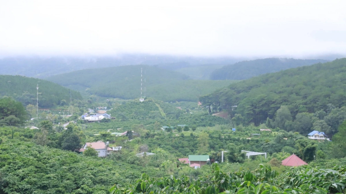 Bộ mặt nông thôn ở một vùng dân tộc thiểu số của huyện Di Linh