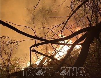 Ngọn lửa bùng lên dữ dội do thời tiết hanh khô. (Ảnh: TTXVN phát)