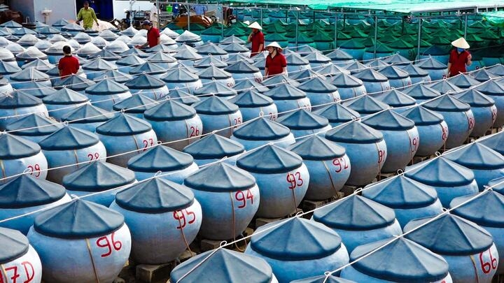 First-ever Vietnamese fish sauce festival will be held in Ho Chi Minh City. (Photo: vtcnews.vn)