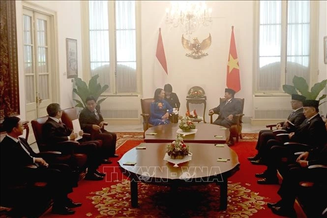 Phó Chủ tịch nước Võ Thị Ánh Xuân và Tổng thống Indonesia Prabowo Subianto tại cuộc tiếp. Ảnh: TTXVN
