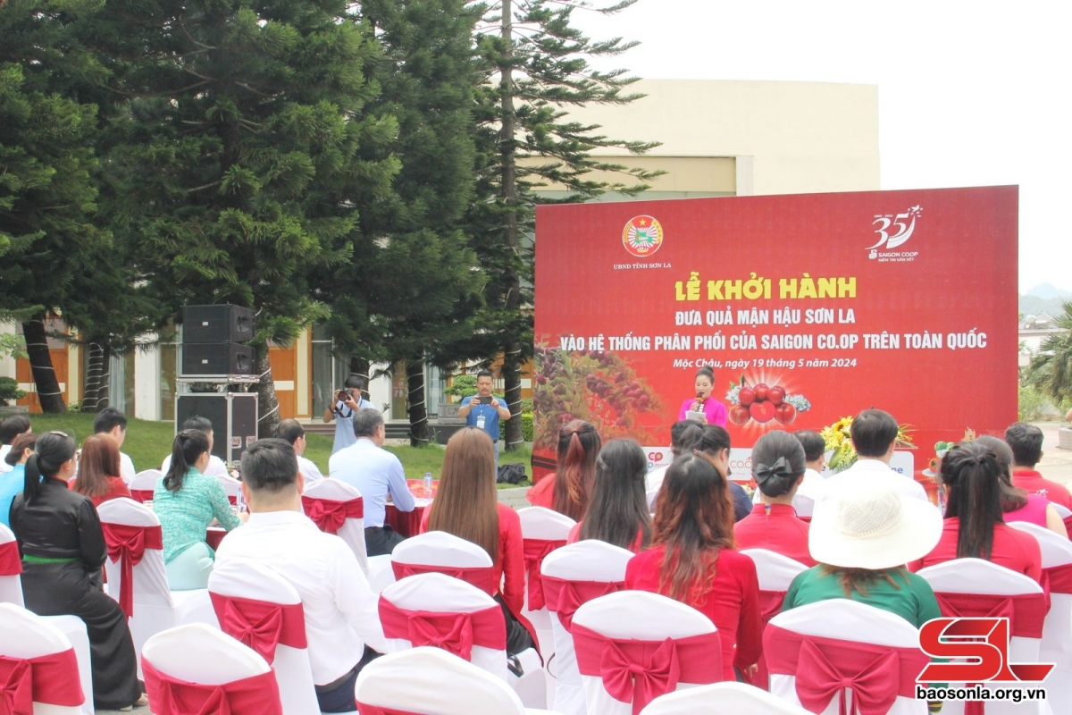 Lễ khởi hành đưa quả “Mận hậu Sơn La” vào hệ thống phân phối của Saigon Co.op trên toàn quốc
