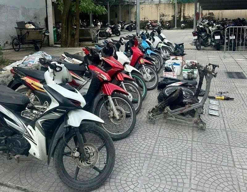 Tang vật của vụ việc