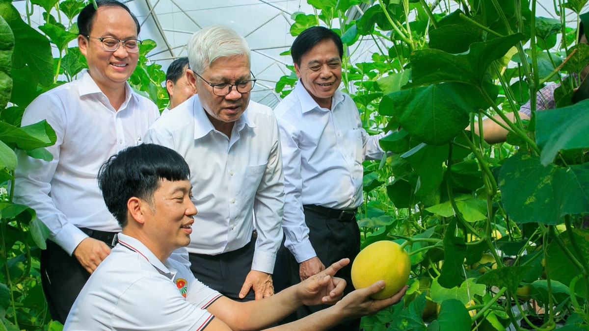 Bí thư Tỉnh ủy Bình Dương Nguyễn Văn Lợi thăm, khảo sát vườn dưa lưới của Hợp tác xã dưa lưới Kim Long 