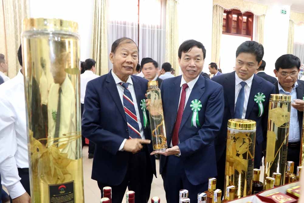 Sản phẩm sâm Lai Châu đã và đang trở thành thương hiệu nông nghiệp đặc hữu tại Lai Châu.