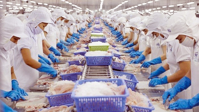 Thị trường châu Âu (EU) đang chiếm tỷ trọng lớn đối với thủy sản xuất khẩu của Việt Nam