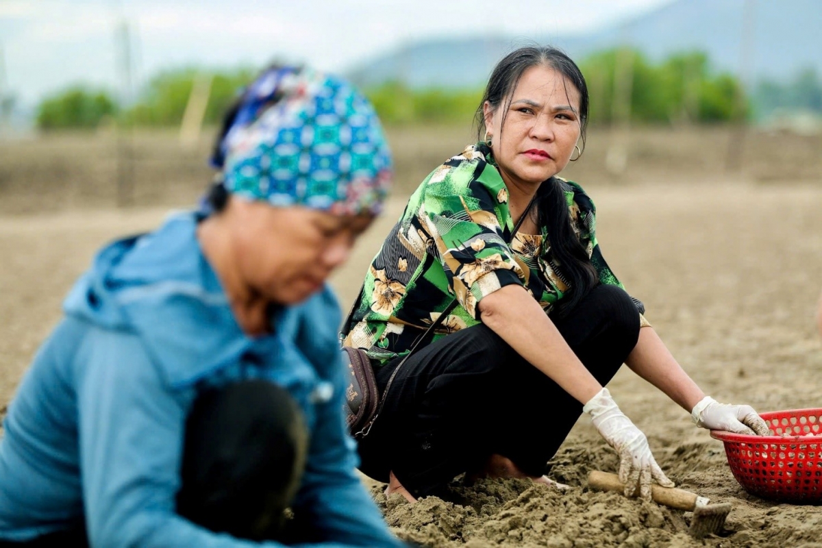 Nông dân Việt Nam xuất sắc 2024 Nguyễn Thị Biên hiện đang nuôi gần 50 ha ngao xã Hoằng Thanh, huyện Hoằng Hóa (tỉnh Thanh Hóa) có doanh thu 150 tỷ đồng/năm
