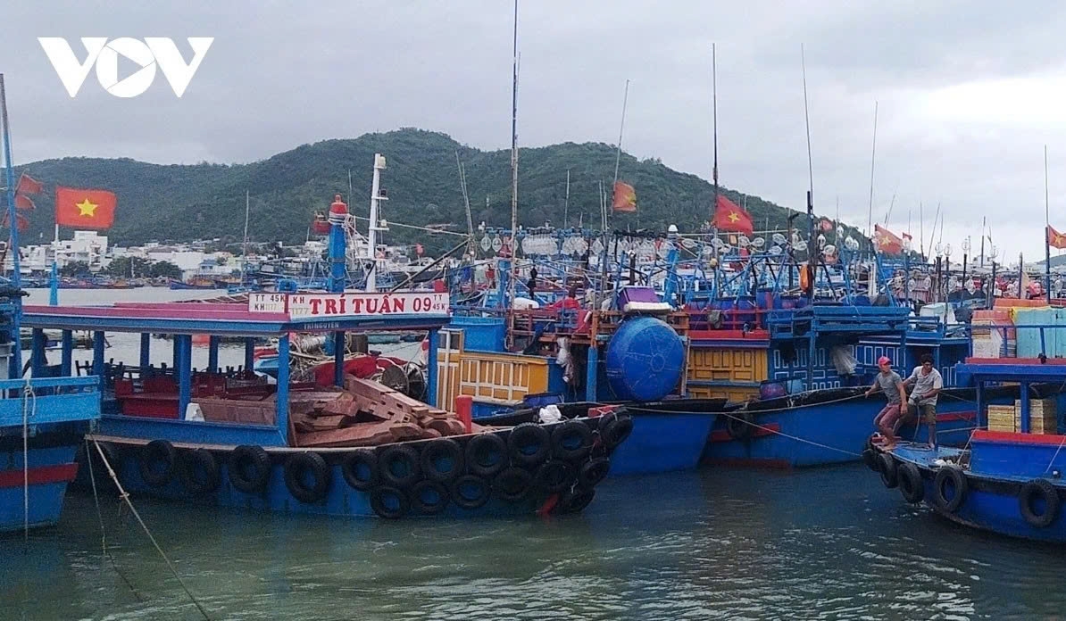 Tàu thuyền tránh trú bão (Ảnh minh họa)