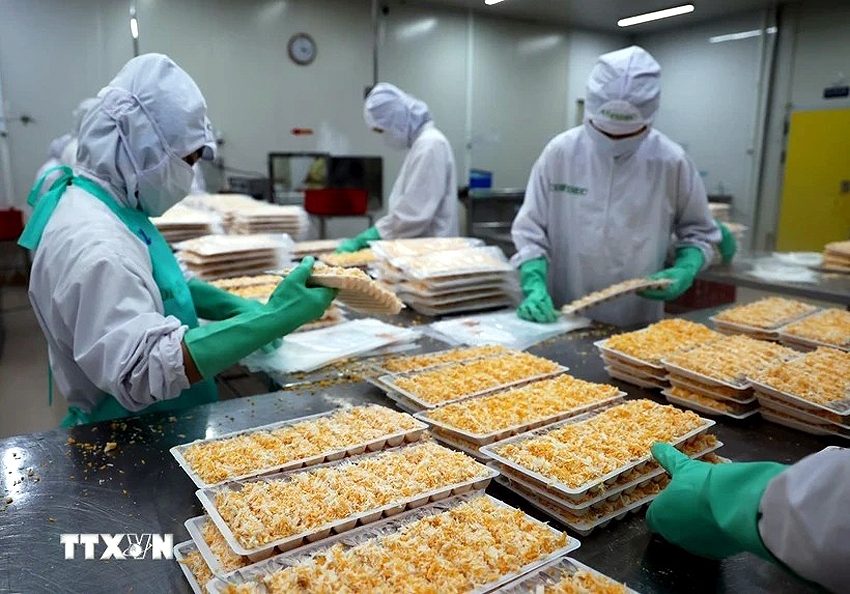 Chế biến sản phẩm thủy sản của Việt Nam cho xuất khẩu - Ảnh: Hồng Đạt/TTXVN