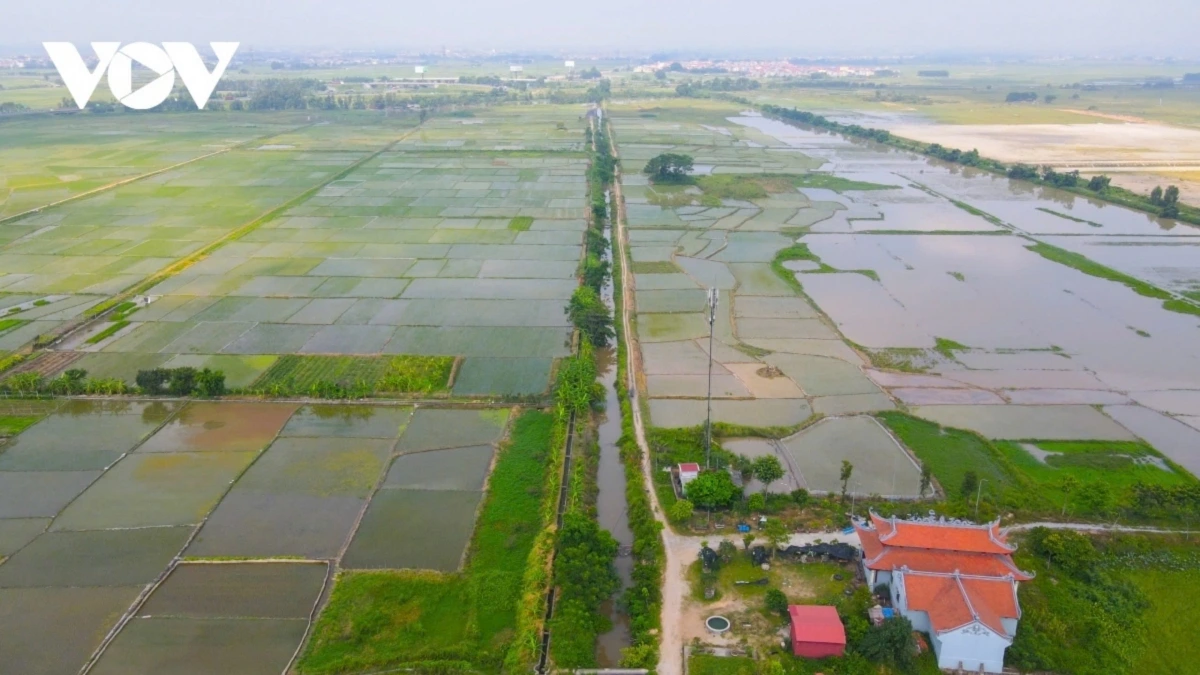 Toàn cảnh dự án