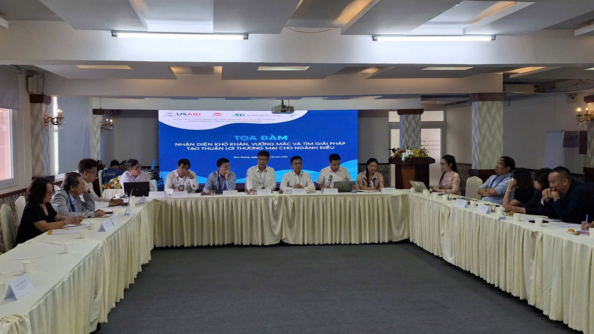 Các chuyên gia, đại diện bộ, ngành tham gia tọa đàm