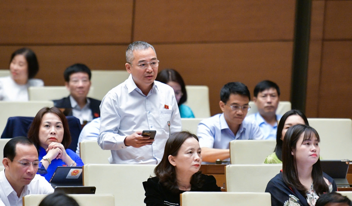 Đại biểu Nguyễn Lân Hiếu, đoàn Bình Định (Ảnh: Quốc hội)