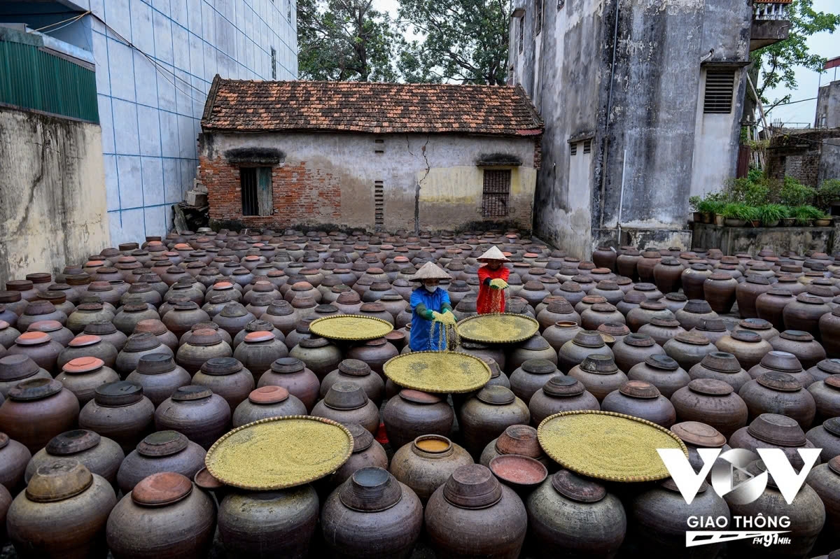 The craft of making fermented soybean paste is believed to have emerged hundreds of years ago during the agricultural development of the Vietnamese people. Historical documents indicate that the soybean paste was an important condiment in the daily meals of locals.