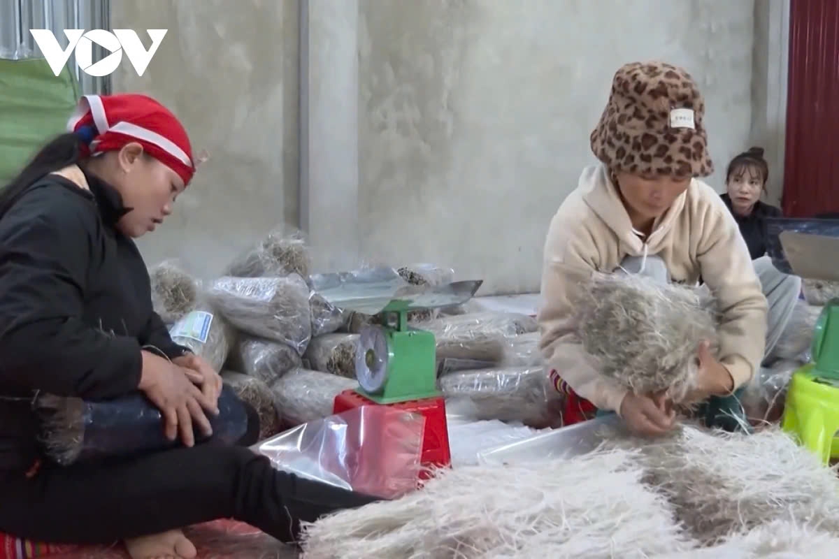 Local farmers package their products for storage and preservation in preparation for selling on big occasions, including the lunar New Year holiday.